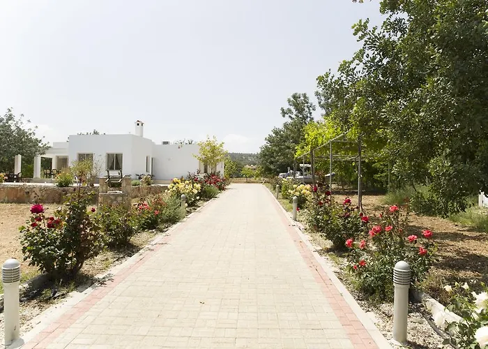 Eliofos Luxury Villa *