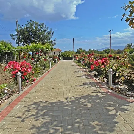 Eliofos Luxury Villa