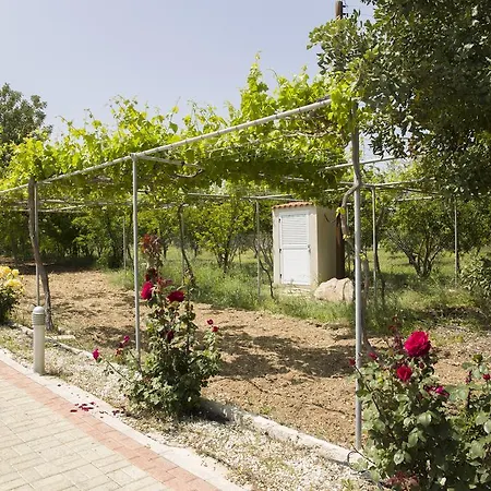 Eliofos Luxury Polis