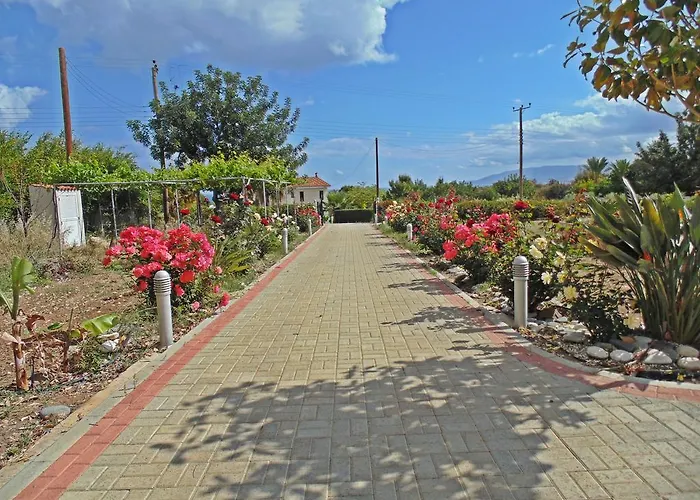 Eliofos Luxury ヴィラ